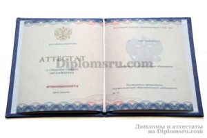 купить аттестат в Тамбове